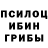 Псилоцибиновые грибы мицелий Rubby Tan