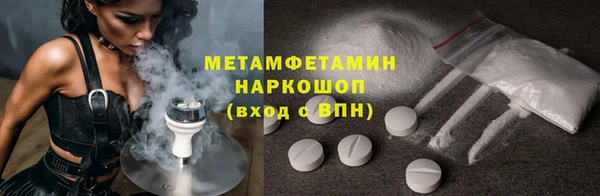 прущие грибы Ладушкин