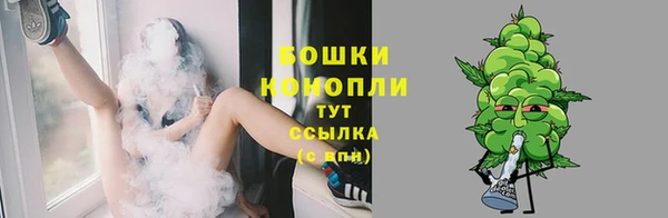 хмурый Рославль