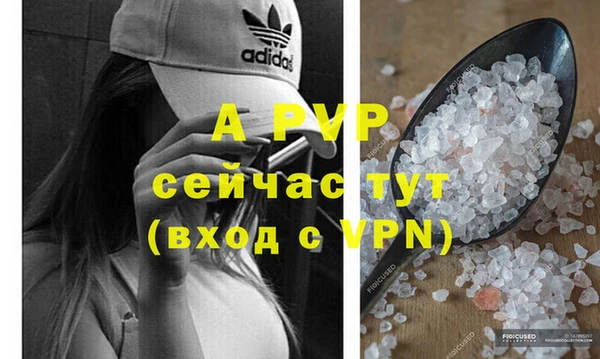 прущие грибы Ладушкин