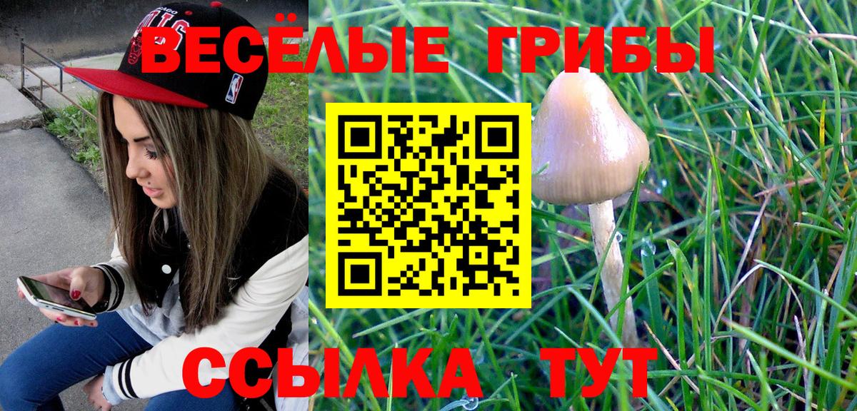 где можно купить   Галлюциногенные грибы Psilocybine cubensis  Вход с VPN  Красноперекопск  Псилоцибиновые грибы MAGIC MUSHROOMS 